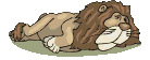 lion.gif